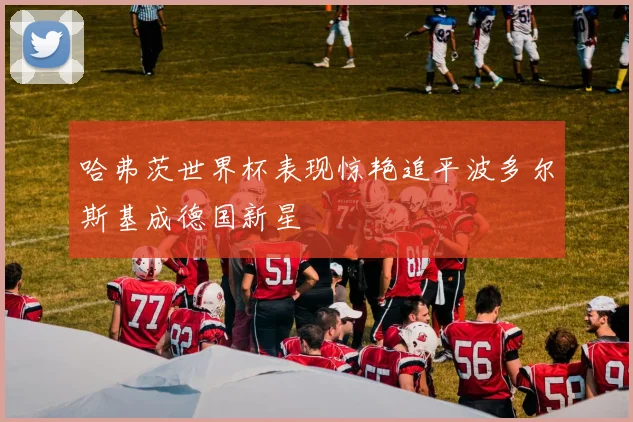 哈弗茨世界杯表现惊艳追平波多尔斯基成德国新星