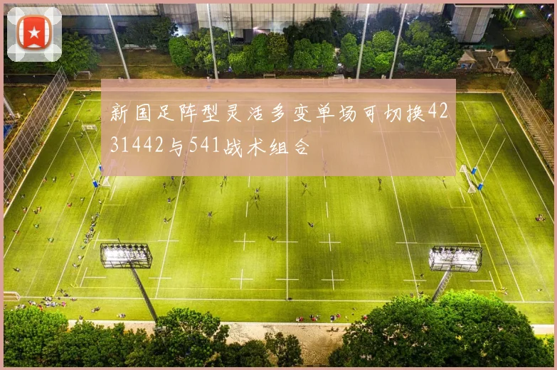 新国足阵型灵活多变单场可切换4231442与541战术组合